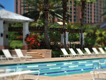 Atlantis - The Coral At Atlantis Autograph Collection Creek Village