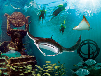Hotel Atlantis - The Coral At Atlantis Autograph Collection