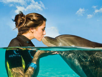 Hotel Atlantis - The Coral At Atlantis Autograph Collection Creek Village