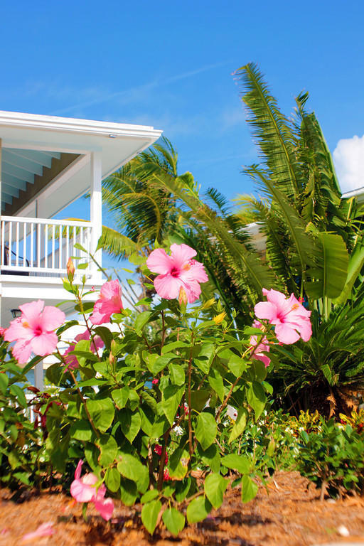 Hotel Exuma Beach George Town