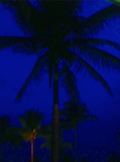 Villa The Blue Family Vacation *