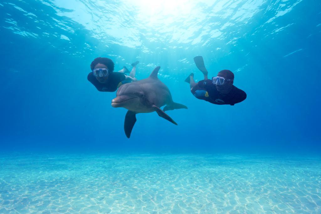 The Reef At Atlantis Resort Nassau