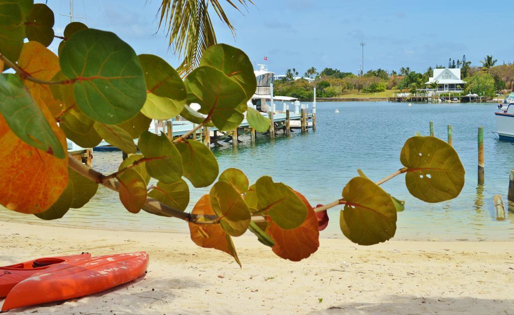 & Marina Resort 3*