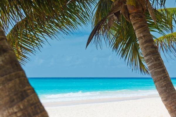 Ultimate Tourism Experience Holiday home