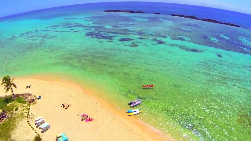 Paradise Cove Apartment
