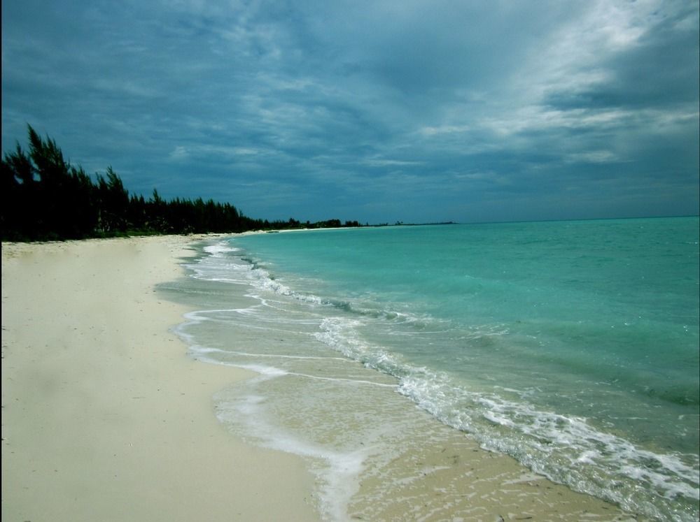 The Blue Family Vacation * Freeport