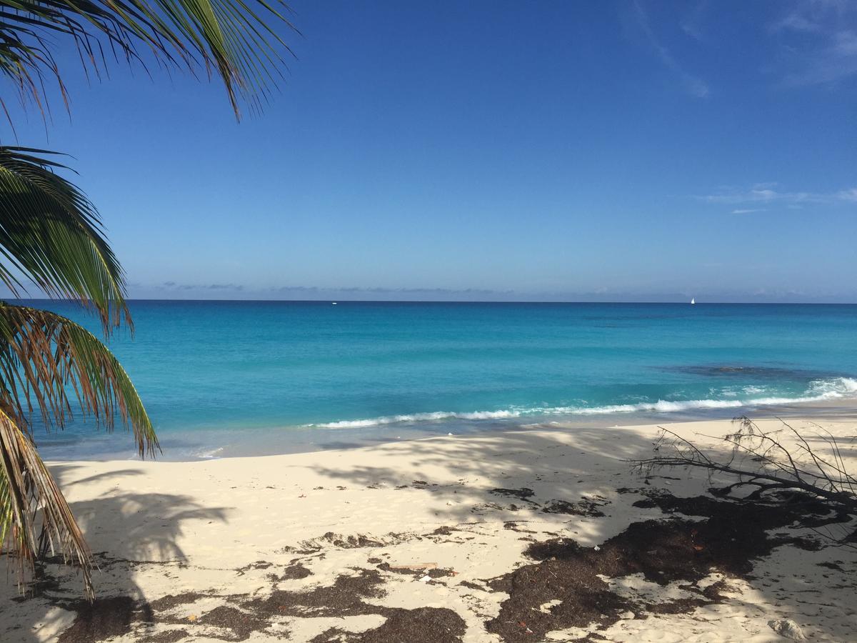 Bimini Seaside - Pink With View * Alice Town (North Bimini)