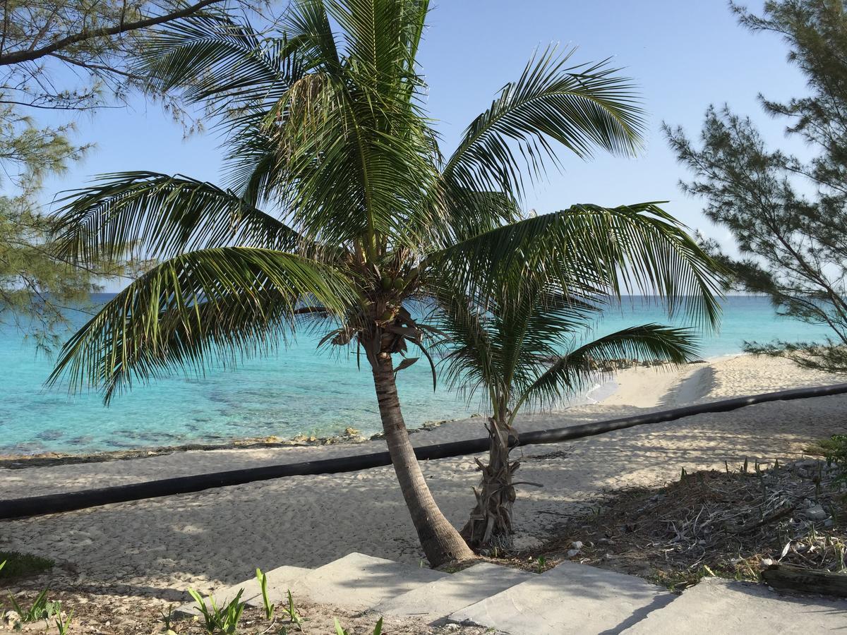 Bimini Seaside - Pink With View * Alice Town (North Bimini)
