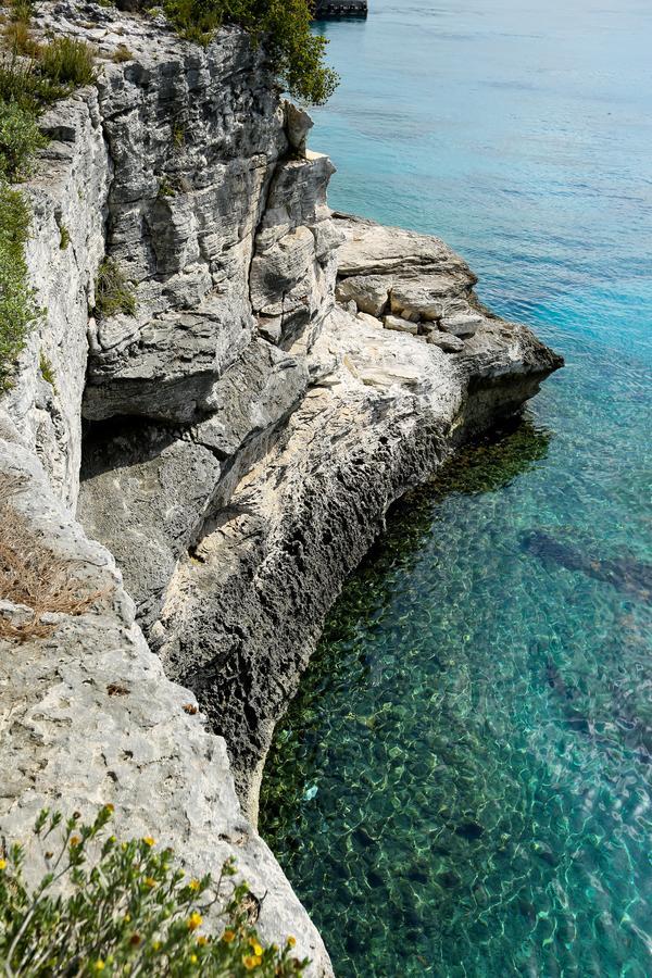 Stellar In Wonderful Seclusion *