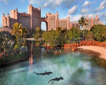 Atlantis - The Coral At Atlantis Autograph Collection
