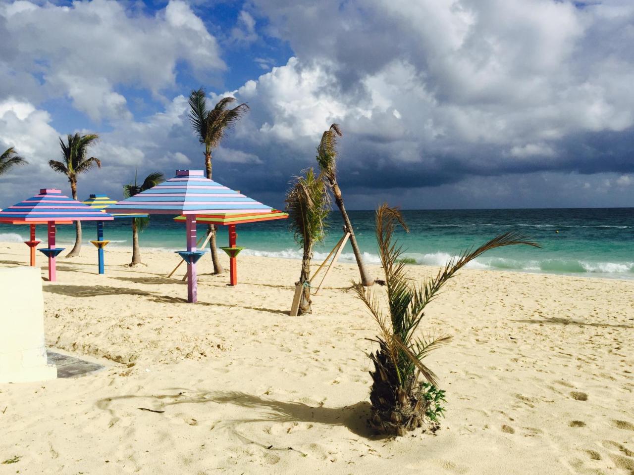 Coral Beach Paradise Apartment *