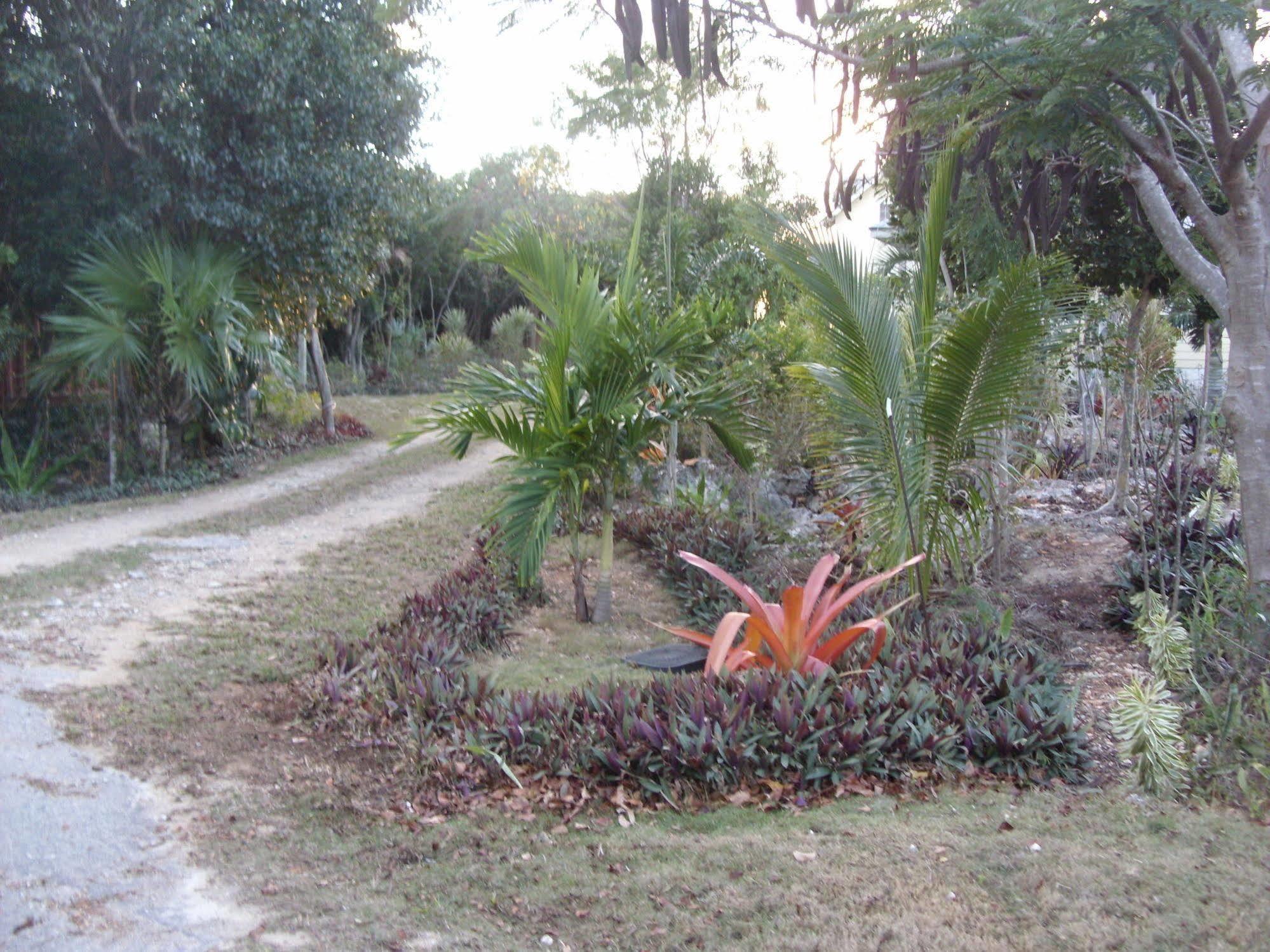 Hotel Island Seaside 3*