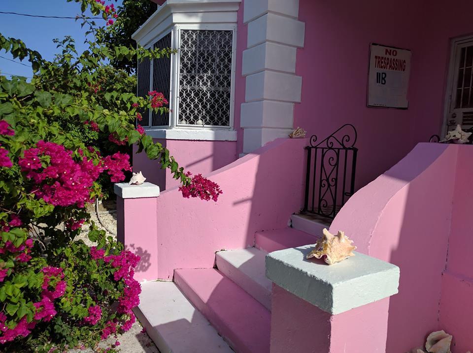 Hostel Da Pink And White Palace
