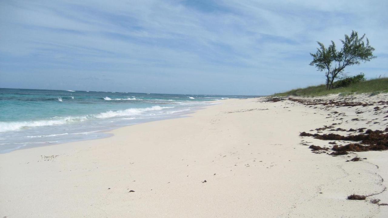 Buttonwood Reserve 2c Holiday home
