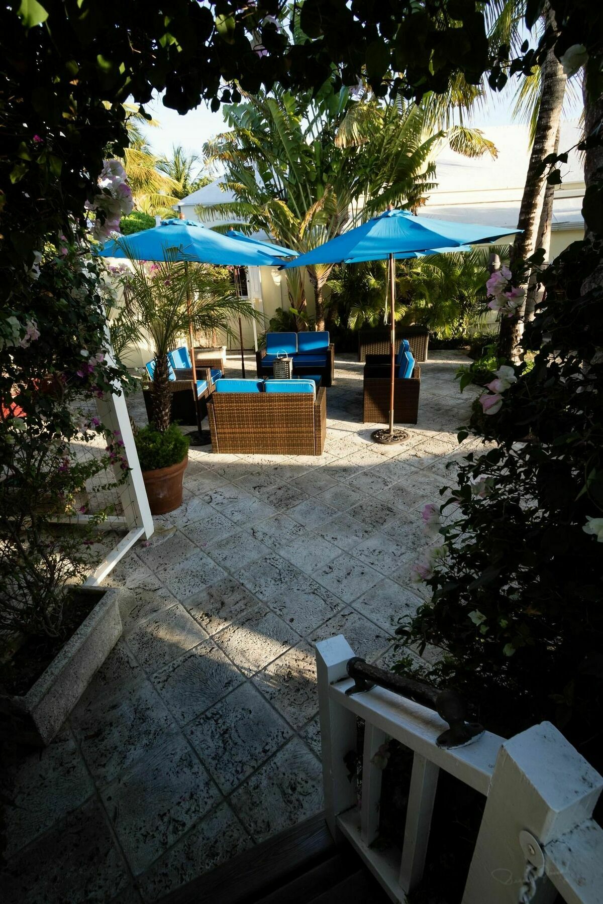 Rock House Harbour Island 3* Dunmore Town