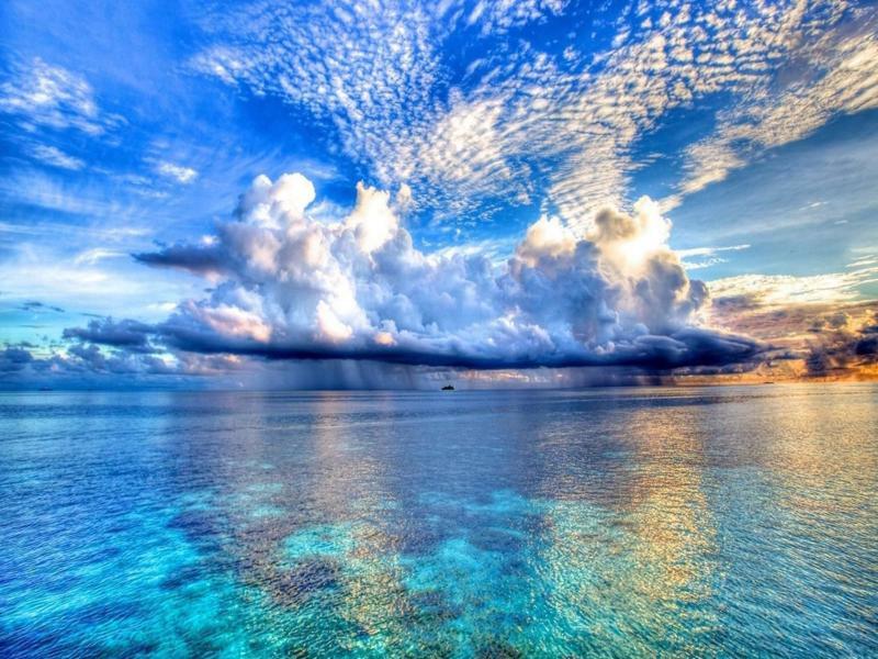 Apartment Paradise Cove