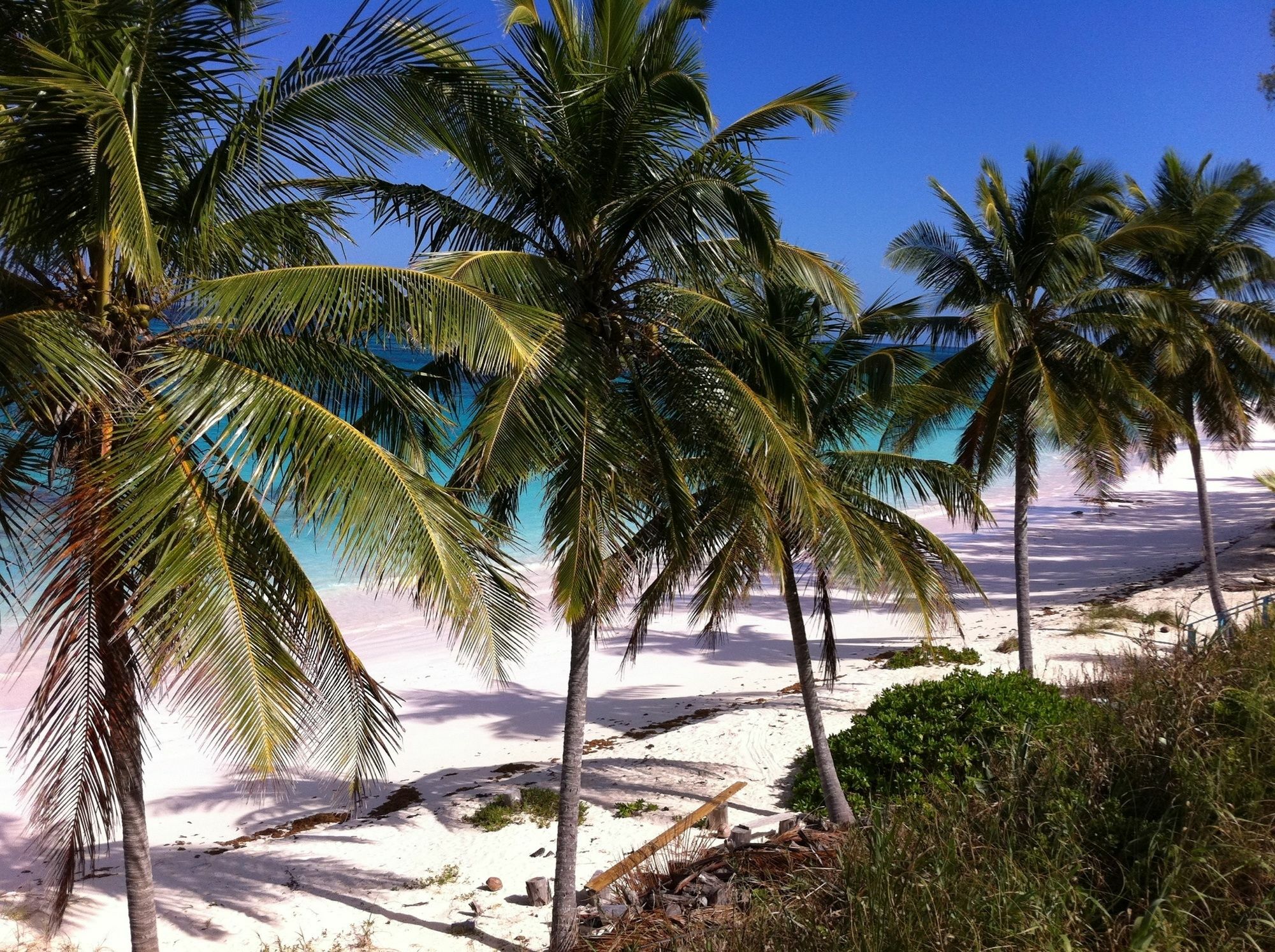 Seven Palms Palmetto Point