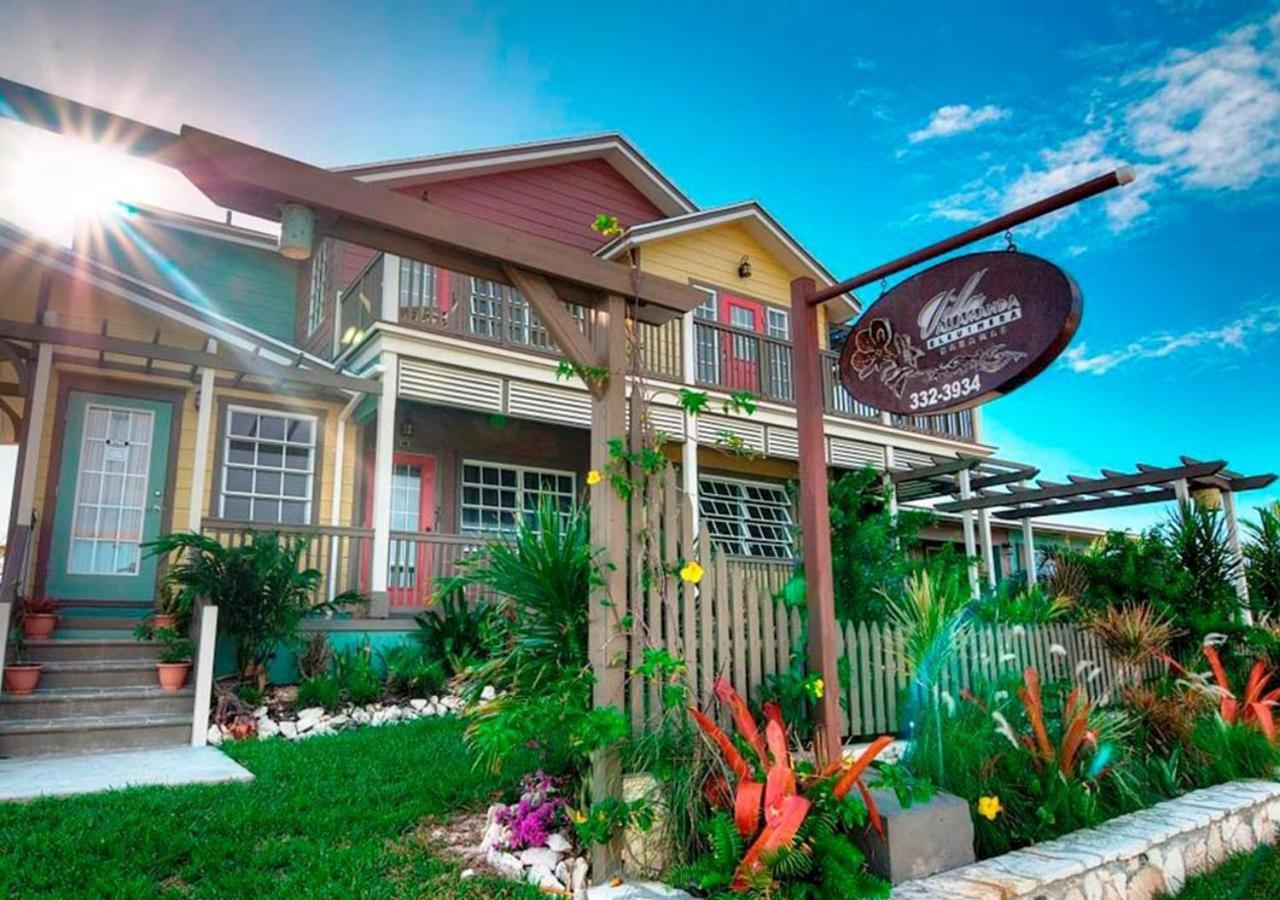 Allamanda, Eleuthera Lodge *