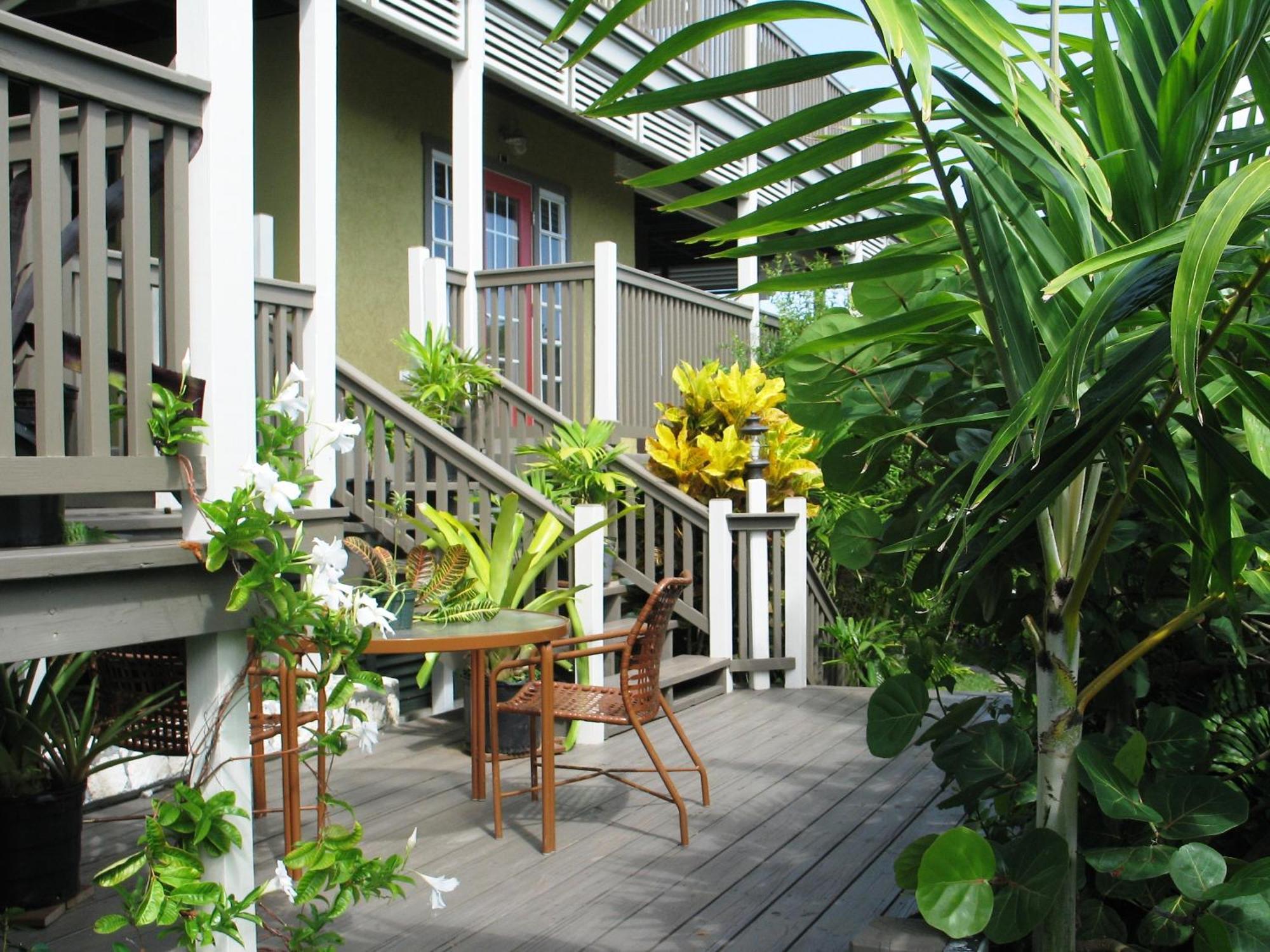 Lodge Allamanda, Eleuthera Governor's Harbour