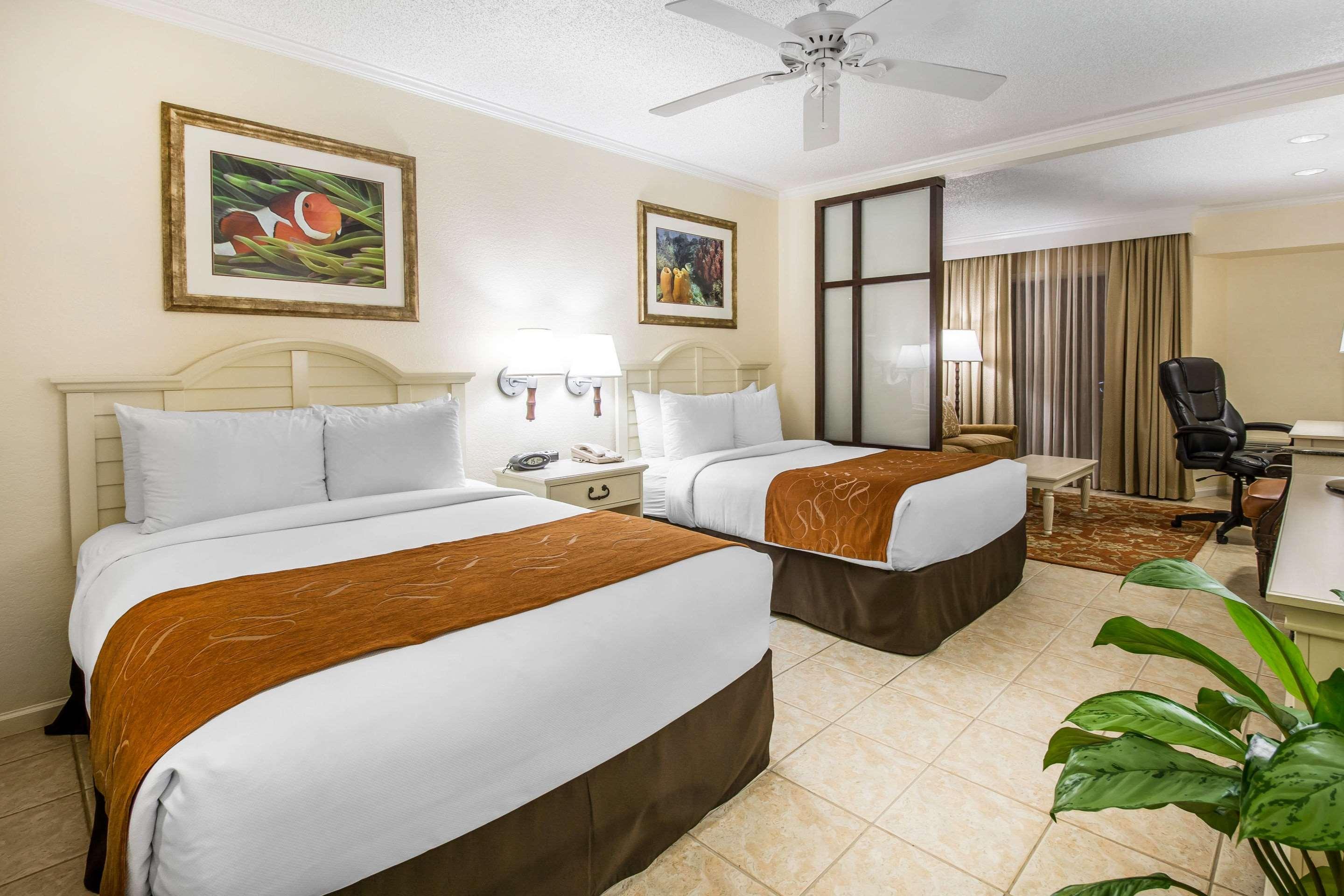 Comfort Paradise Island