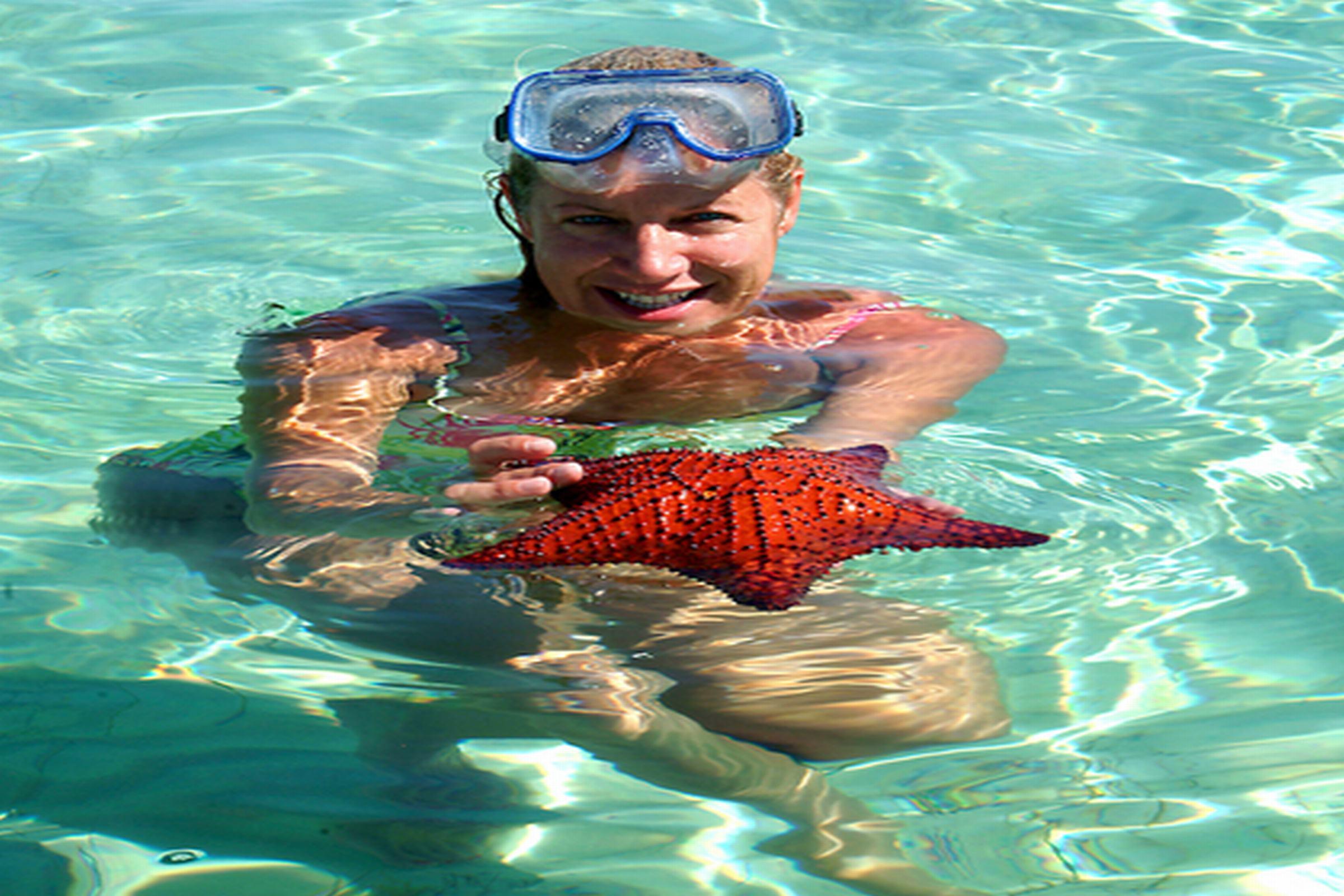 Resort Abaco & Boat Harbour Marsh Harbour