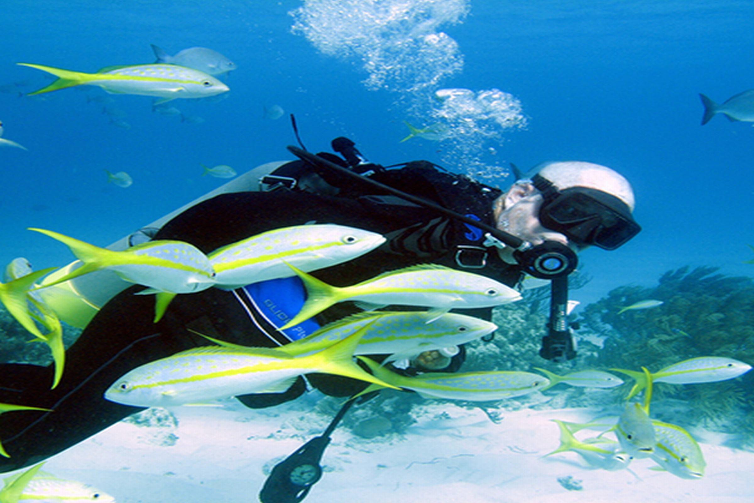 Abaco & Boat Harbour Resort 4*