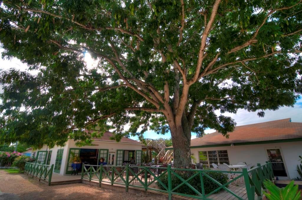 Lodge Allamanda, Eleuthera