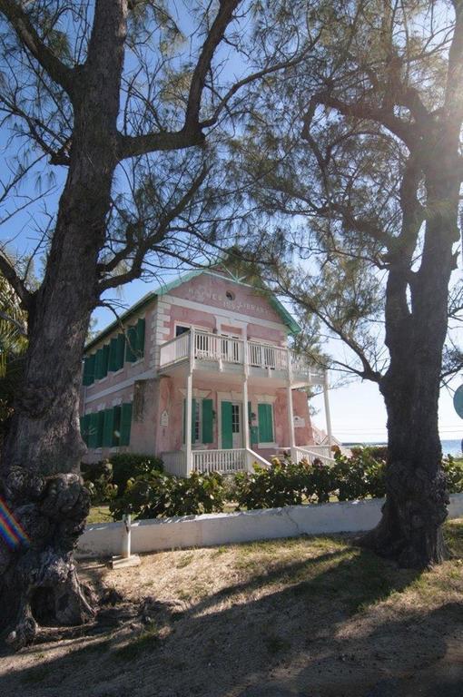 Allamanda, Eleuthera *