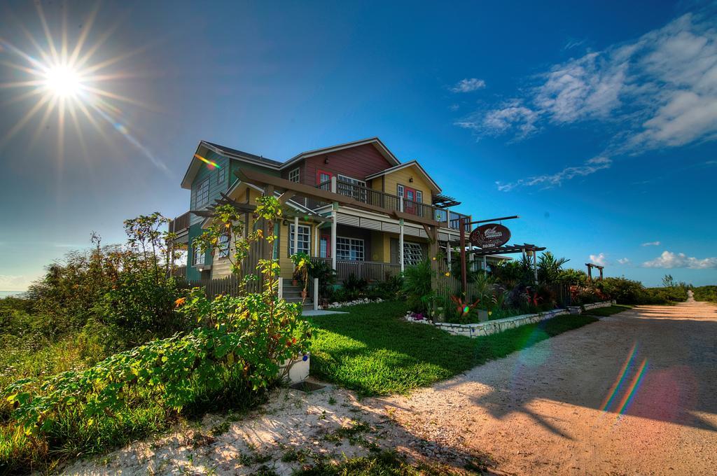Allamanda, Eleuthera * Governor's Harbour