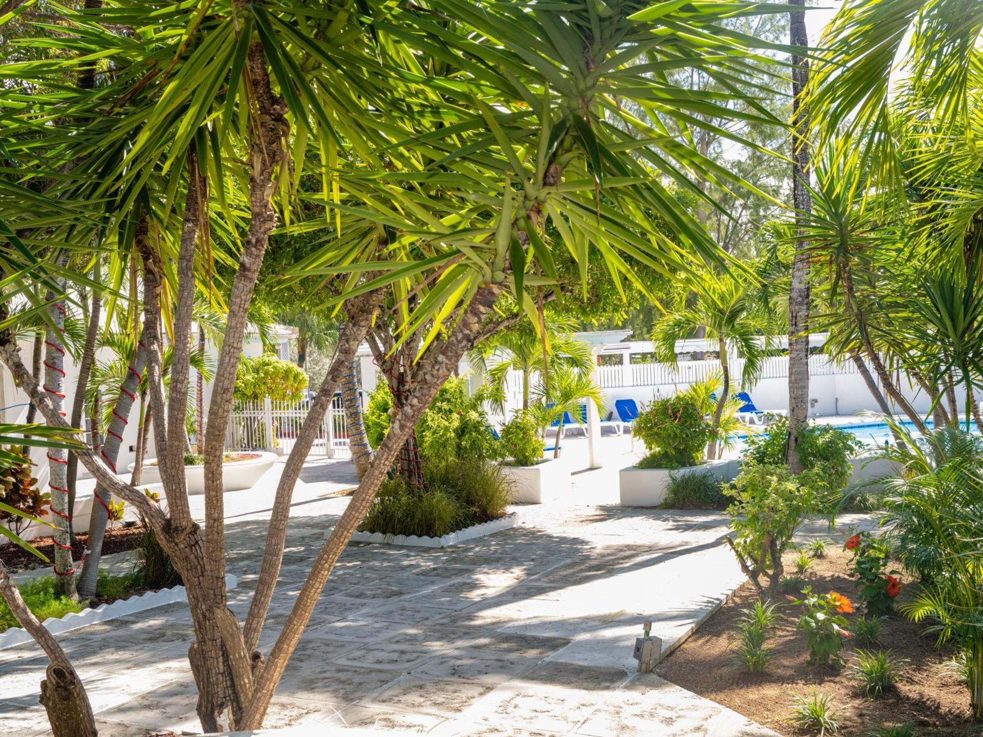 Villa Deluxe Ocean View - Just Steps From White Beaches