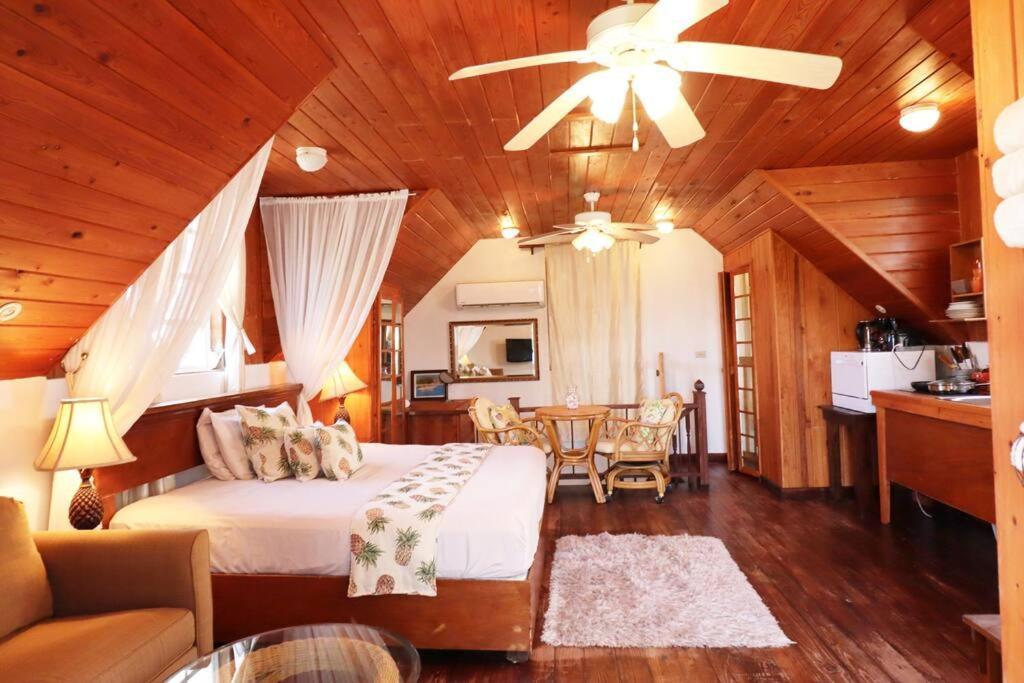 Suncrest House Cozy Apartment