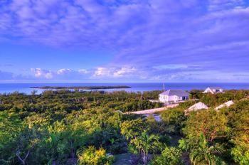 Allamanda, Eleuthera