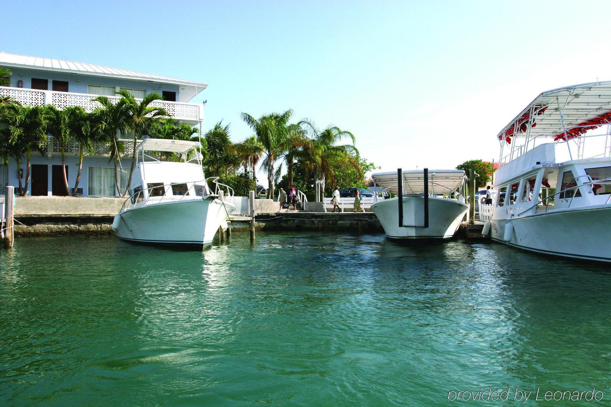 The Marlin At Taino Resort Freeport