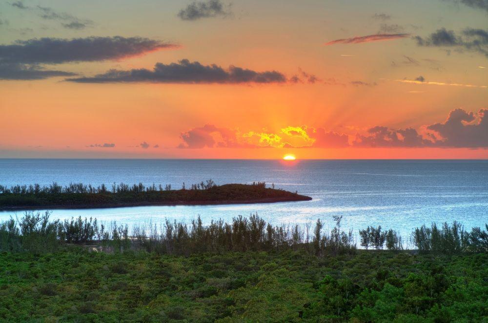 Allamanda, Eleuthera Lodge