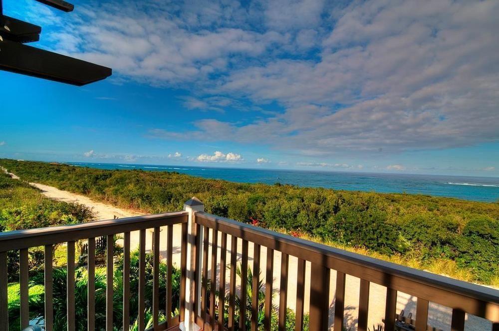 Allamanda, Eleuthera Lodge Governor's Harbour