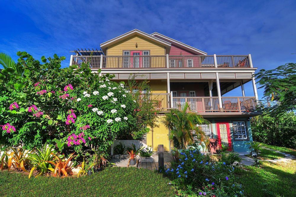 Allamanda, Eleuthera Lodge *