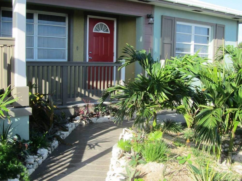 Allamanda, Eleuthera Lodge