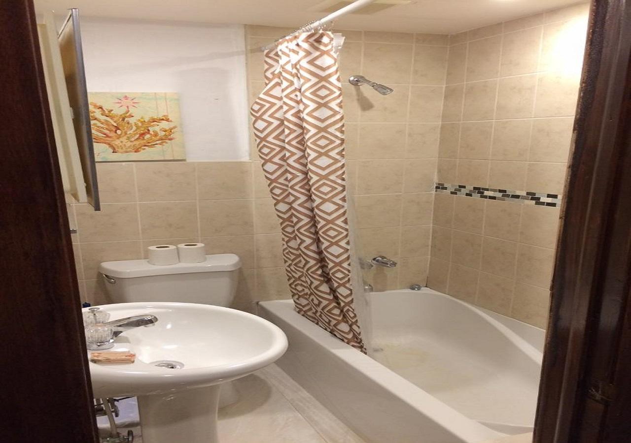 The Oasis Retreat Apartment