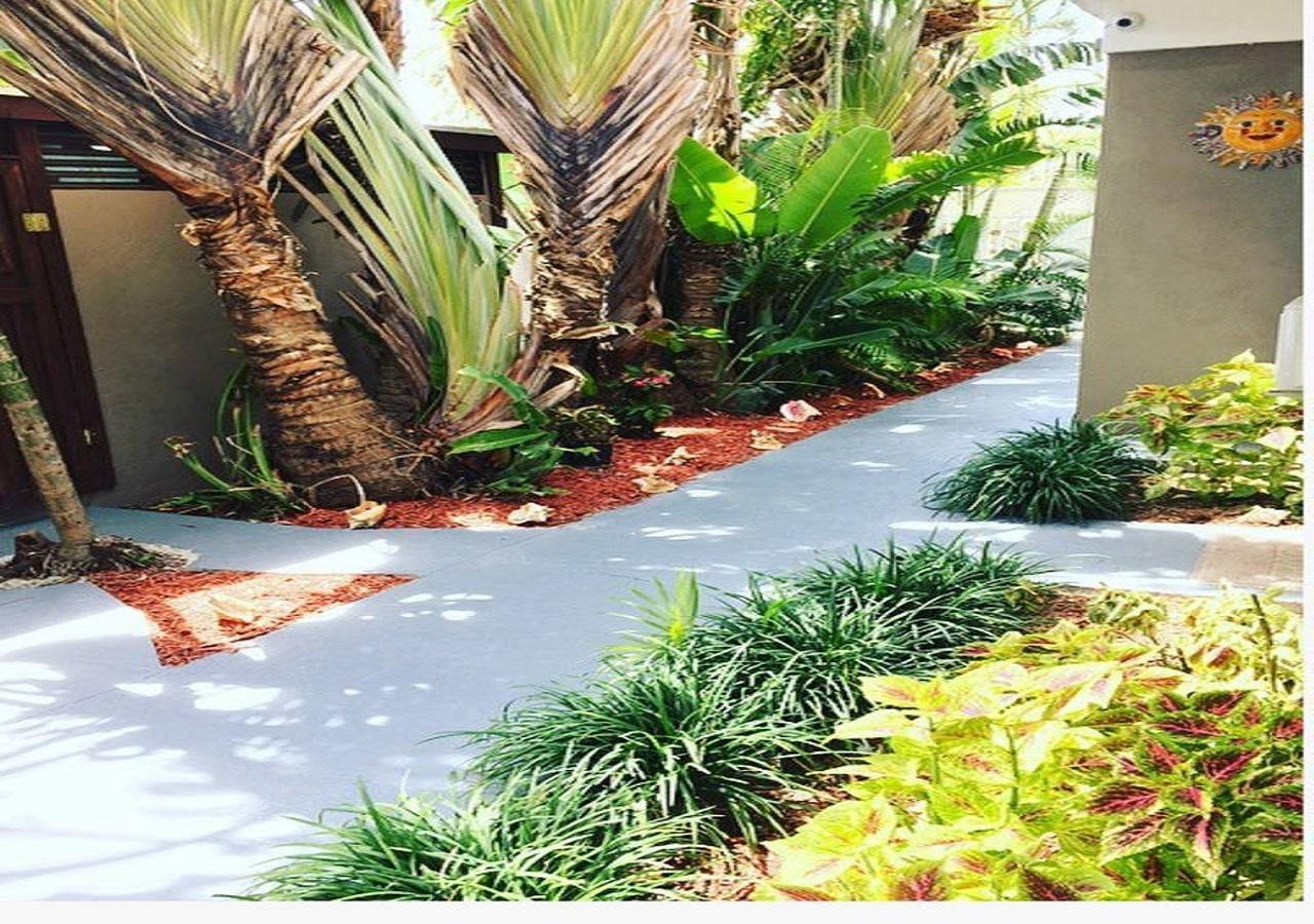 The Oasis Retreat