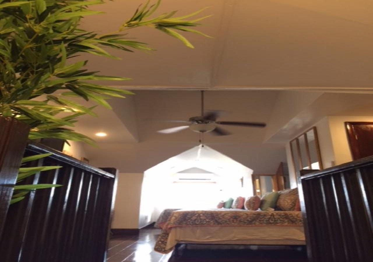 The Oasis Retreat Apartment *