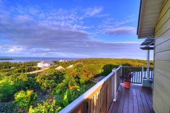 Allamanda, Eleuthera