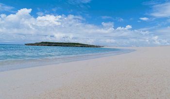 Allamanda, Eleuthera * Governor's Harbour