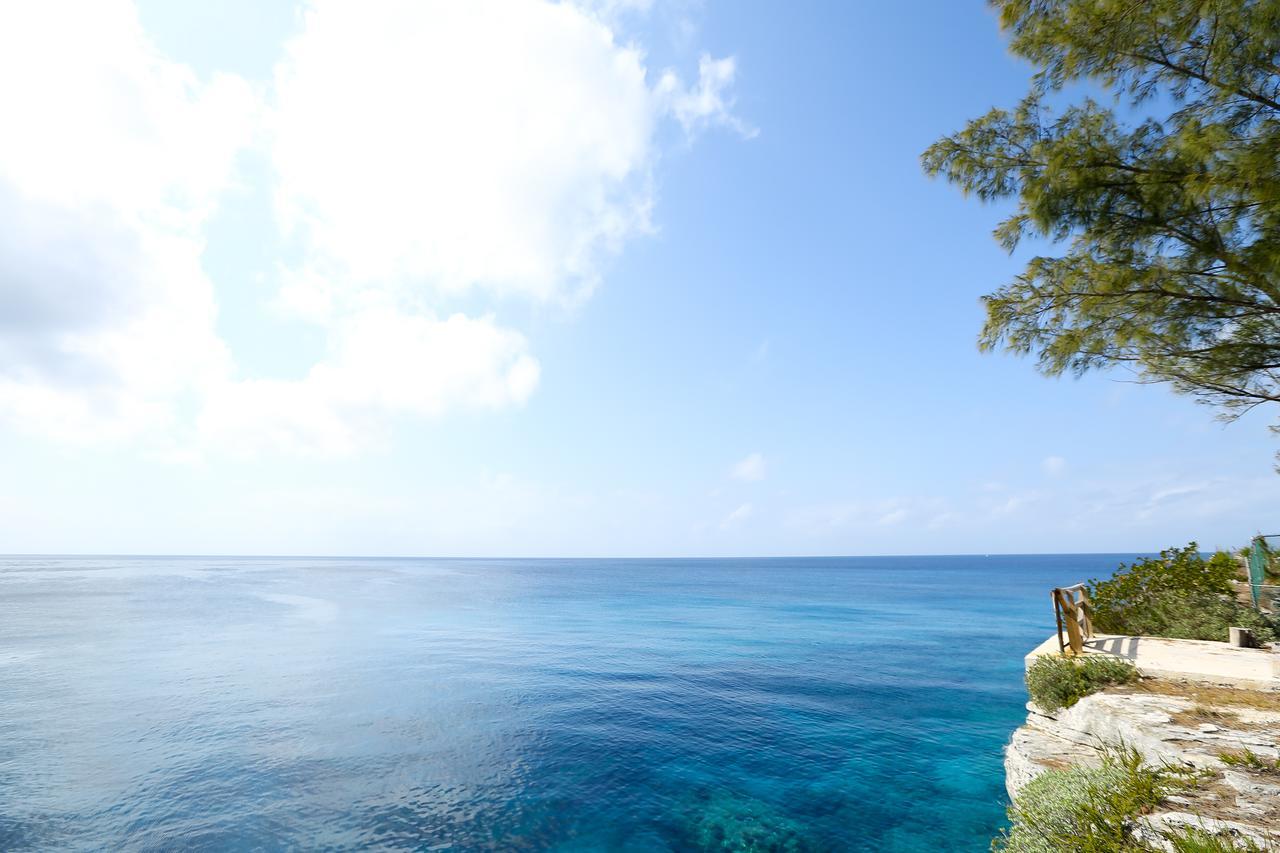 Apartment Stellar In Wonderful Seclusion