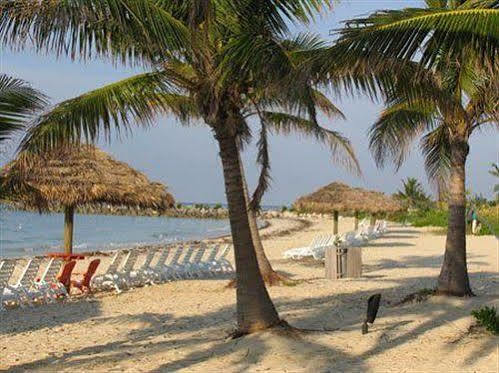 The Marlin At Taino Resort