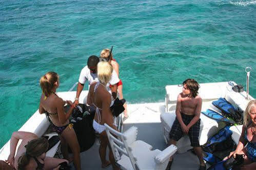 The Marlin At Taino