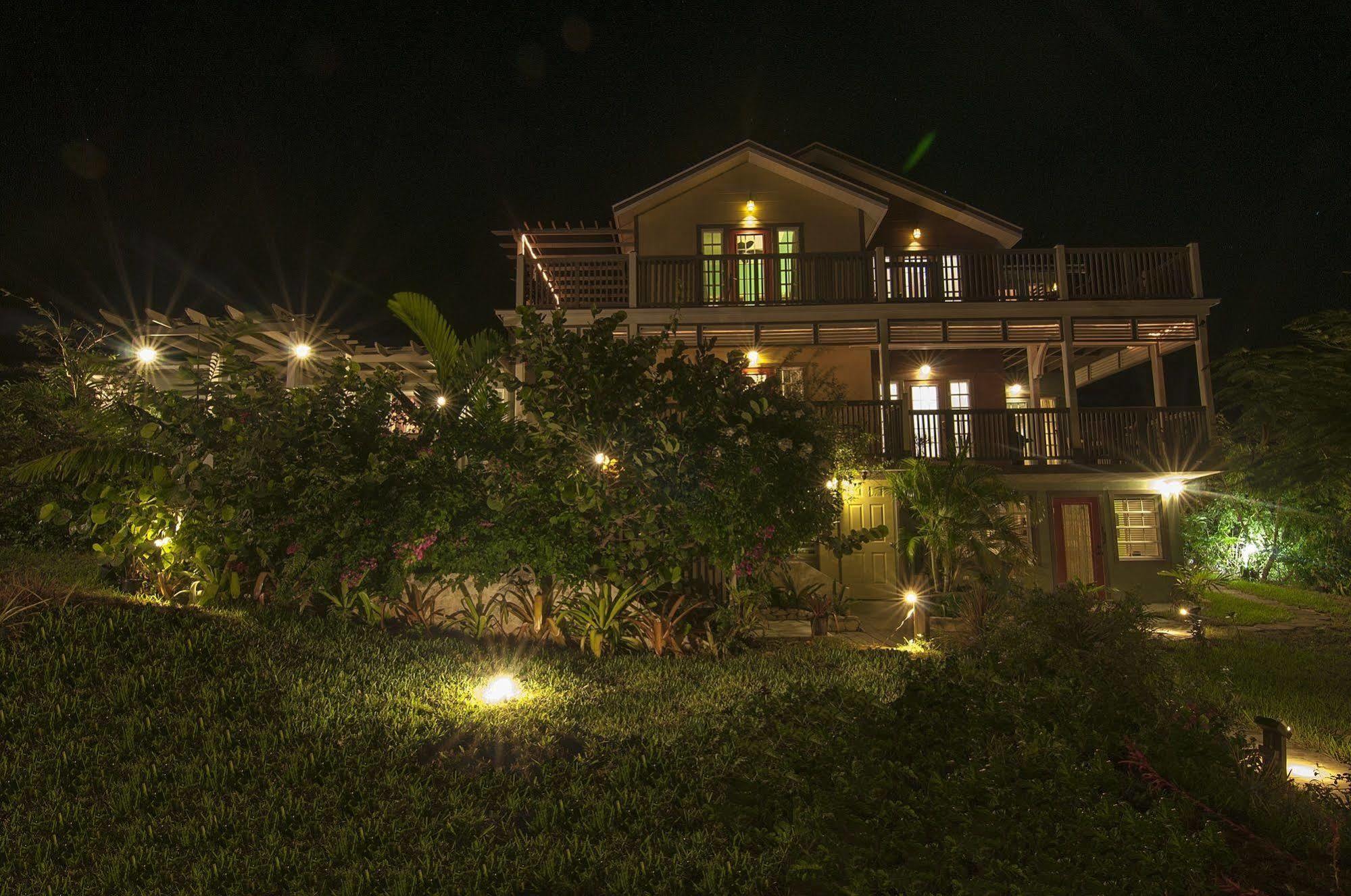 Allamanda, Eleuthera
