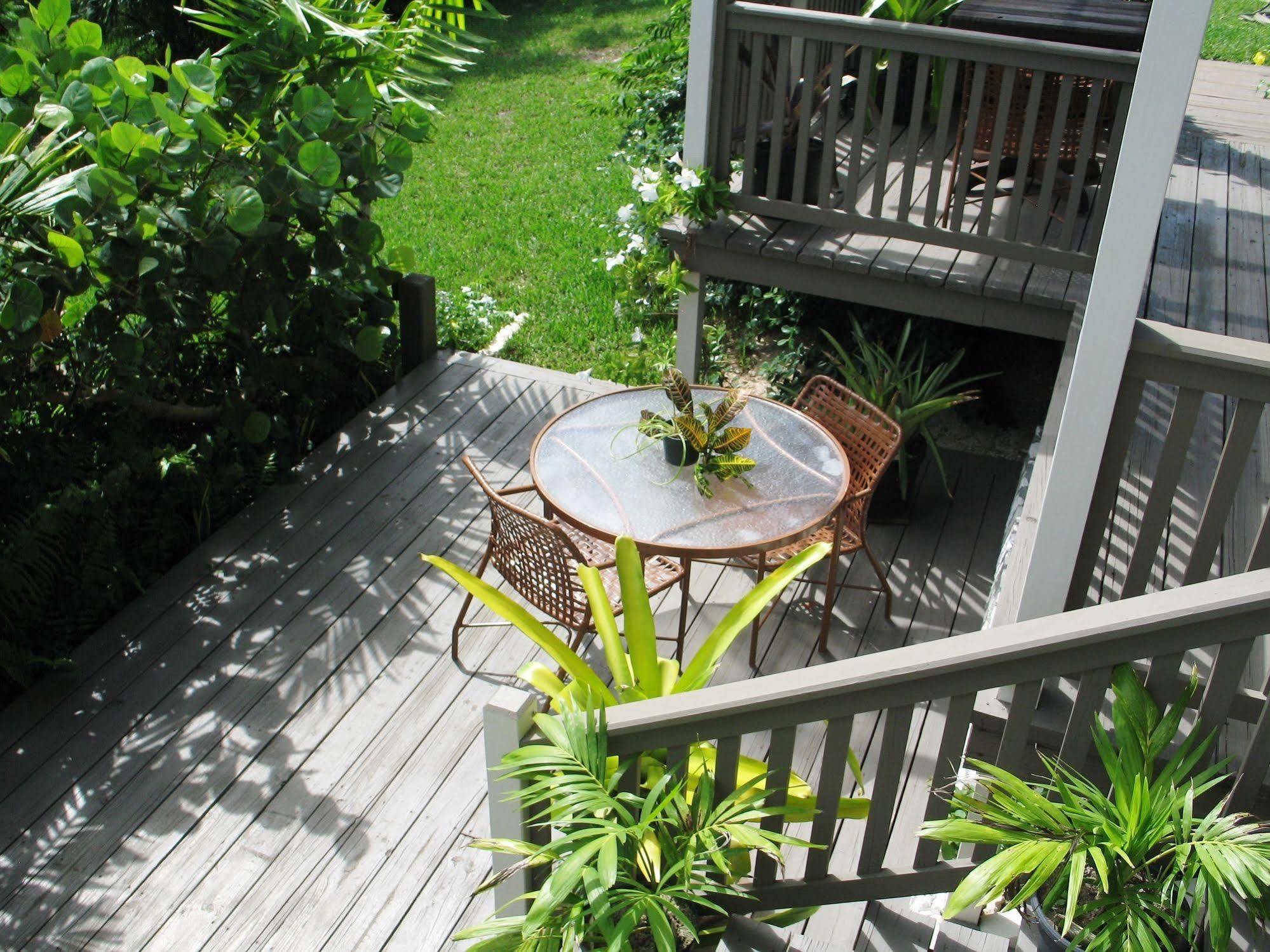 Allamanda, Eleuthera Lodge Governor's Harbour