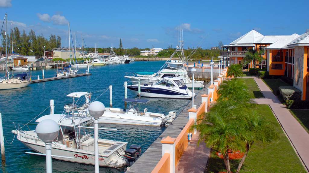Running Mon Sunrise & Marina