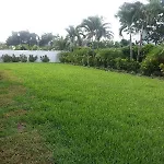 Realty Shores