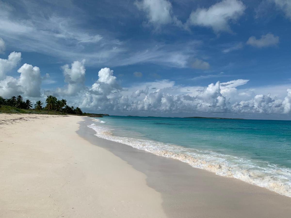Turtles Nest Bahamas George Town